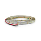 ALPHA ELETTRONICA SR - ALPJO350S142431PW Striscia Led Solderless 176 Led/m 2835 0,2W - 24Vdc - 14,4W/m - Bianco Freddo - 30m
