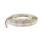 ALPHA ELETTRONICA SR - ALPJO3651942404PW N.LED 5M 24V19.2W240L/M 2835/0.2 IP65 BF