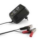 ALPHA ELETTRONICA SR - ALPKCP0600/U1 CAR.BATT. PB 2-6-12V.600MA CON PINZE