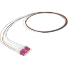 EXCEL - EXL200-547 Excel Enbeam Pigtail OM4 LC/UPC 12 Colou