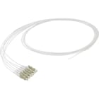EXCEL - EXL200-642 Excel Enbeam Pigtail OM2 LC/UPC White 1
