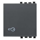 VIMAR SPA - VIW20022.P Tasto 2M simbolo chiave grigio