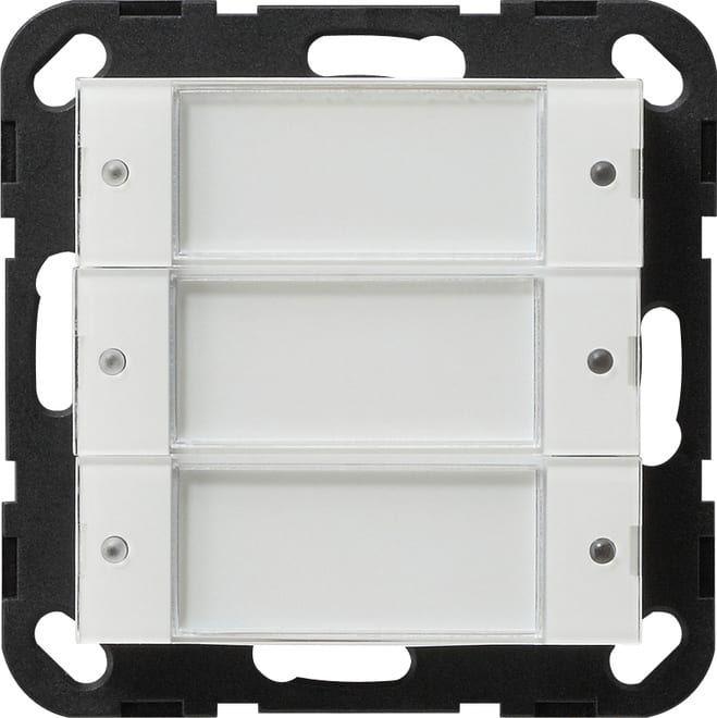GIRA - GIR2003100 Tastsens.2 3f 24 V pot.frei BSF System 5