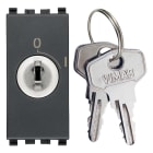 VIMAR SPA - VIW20083 INTERRUTTORE 2P 16(3)A +CHIAVE GRIGIO