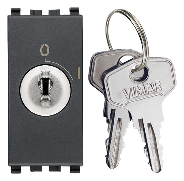 VIMAR SPA - VIW20086.CU PULSANTE 2P NO 16A +CHIAVE UNIF. GRIGIO