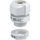 OBO BETTERMANN - OBO2024916 VTEC TB25 1113 PRESSACAVO SEPARABILE