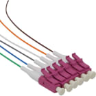 EXCEL - EXL204-322 Excel Enbeam Pigtail OM4 LC/UPC 12 Colou