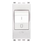 VIMAR SPA - VIW20405.16.B INTERRUTTORE MT 1P+N C16 120-230V BIANCO