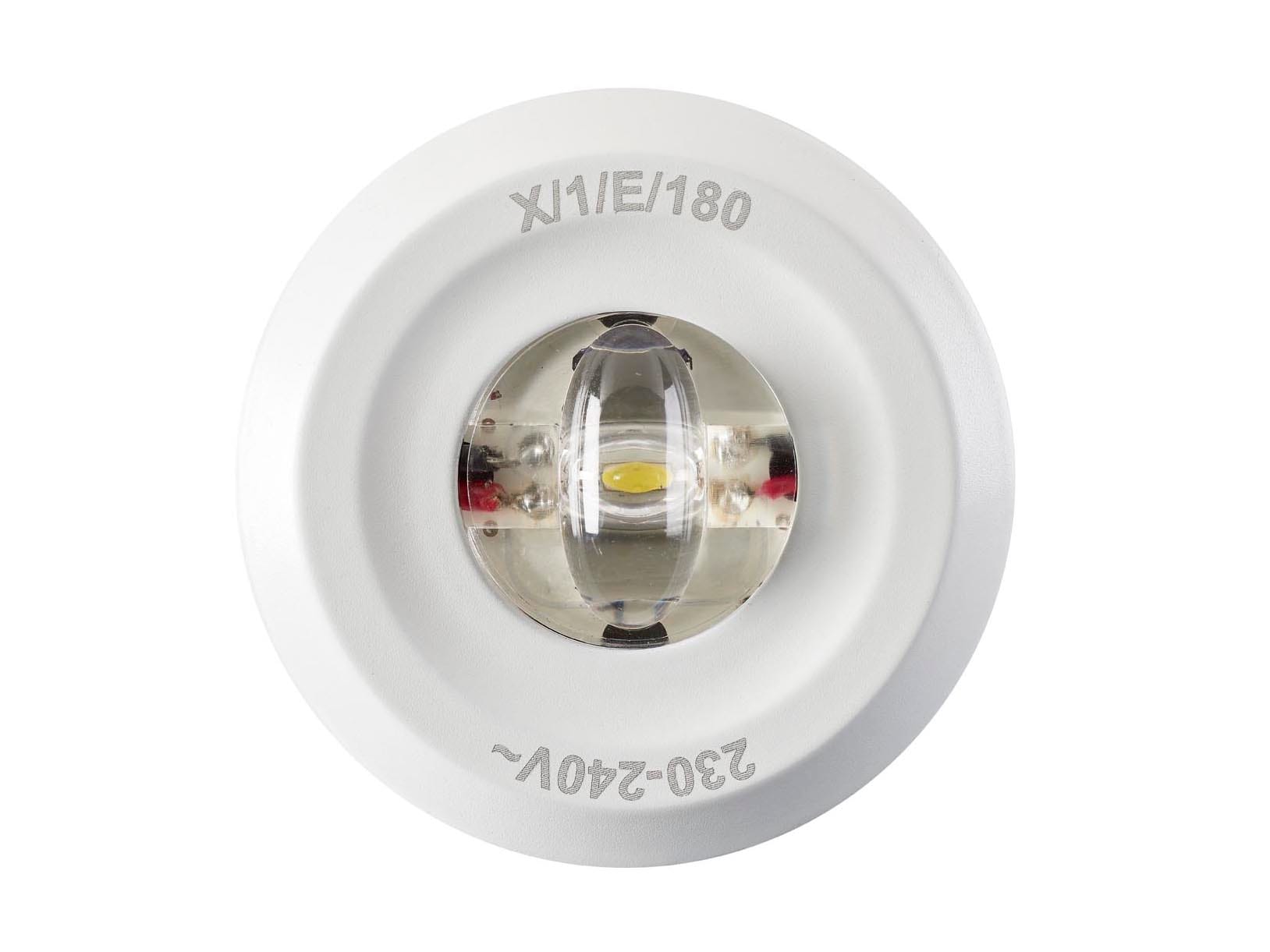 FEILO SYLVANIA ITALY - SYL2059463 ROUTELEDII CORRIDOR DALI