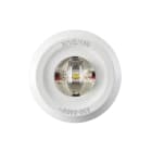 FEILO SYLVANIA ITALY - SYL2059463 ROUTELEDII CORRIDOR DALI