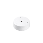 FEILO SYLVANIA ITALY - SYL2071091 COLOSSAL ROSONE