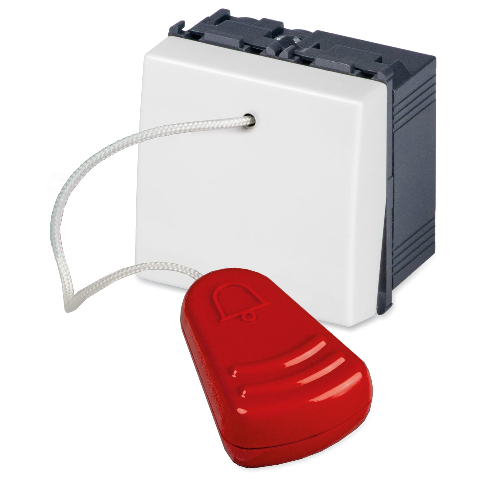 MASTER SRL - MST21030.2 MIX PULSANTE 2MOD. TIRANTE 1P 16A