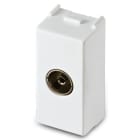 MASTER SRL - MST21254 MIX PRESA TV 9,5MM FINALE