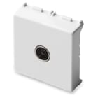 MASTER SRL - MST21255.2 MIX PRESA TV 9,5MM PASS. 2MOD.