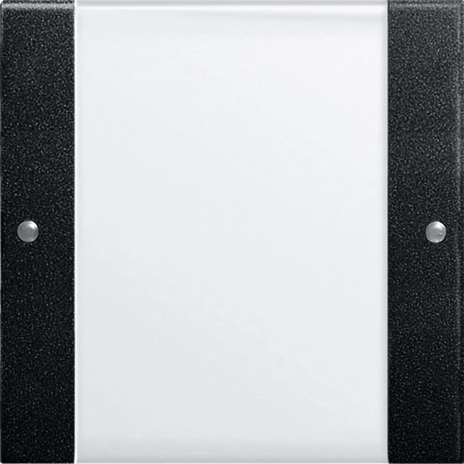 GIRA - GIR2131005 Wippenset 1f BSF System 55 Klar/Schwarz