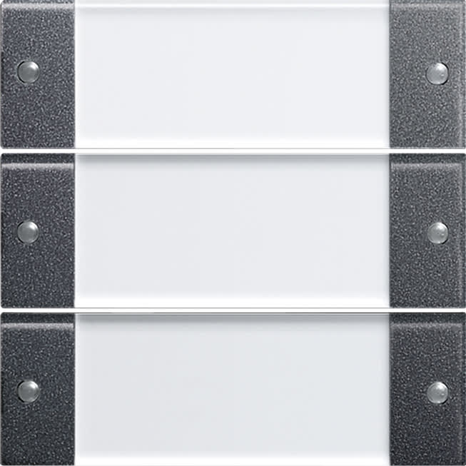 GIRA - GIR213328 Wippenset 3f BSF System 55 Klar/Anthrazi