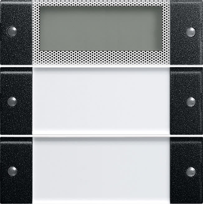 GIRA - GIR2142005 Wippenset 2f Plus BSF System 55 Klar/Sch