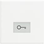 BTICINO - BTIHD4921M2LF AXOLUTE - TASTO SERIGRAFIA CHIAVE 2MOD