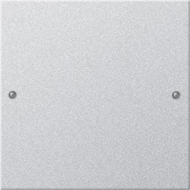 GIRA - GIR218126 Wippenset 1f System 55 F Alu(lack.)