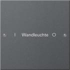 GIRA - GGI220128 Wippenset 1f beschr. System 55 Anthrazit