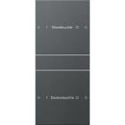 GIRA - GIR220228 Wippenset 2f (1+1) beschr. System 55 Ant