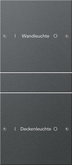 GIRA - GIR220228 Wippenset 2f (1+1) beschr. System 55 Ant