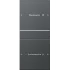 GIRA - GGI220228 Wippenset 2f (1+1) beschr. System 55 Ant