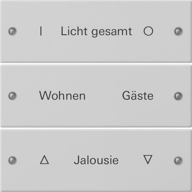 GIRA - GIR2203015 Wippenset 3f beschr. System 55 Grau m(la