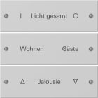 GIRA - GIR2203015 Wippenset 3f beschr. System 55 Grau m(la