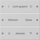 GIRA - GGI2203015 Wippenset 3f beschr. System 55 Grau m(la