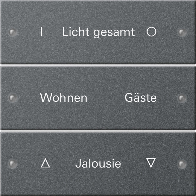 GIRA - GIR220328 Wippenset 3f beschr. System 55 Anthrazit