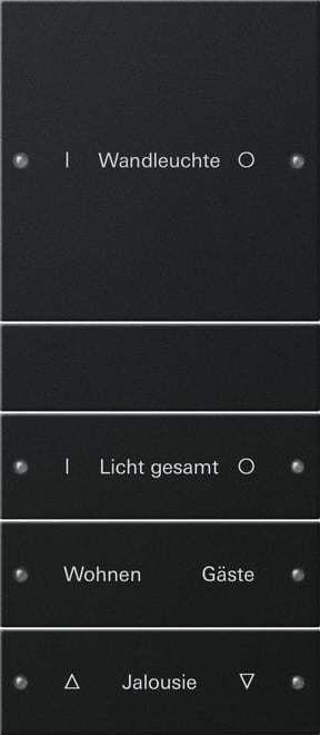 GIRA - GGI2204005 Wippenset 4f (1+3) beschr. System 55 Sch