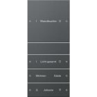 GIRA - GIR220428 Wippenset 4f (1+3) beschr. System 55 Ant