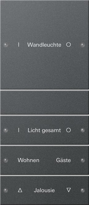 GIRA - GIR220428 Wippenset 4f (1+3) beschr. System 55 Ant