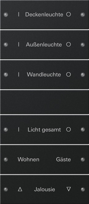 GIRA - GIR2206005 Wippenset 6f (3+3) beschr. System 55 Sch