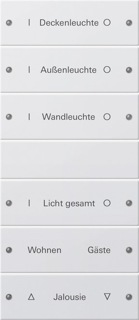 GIRA - GIR220627 Wippenset 6f (3+3) beschr. System 55 Rei