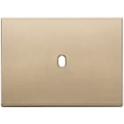 VIMAR SPA - VIW22673.1.88 PLACCA 3MX1 VINTAGE ORO SATINATO