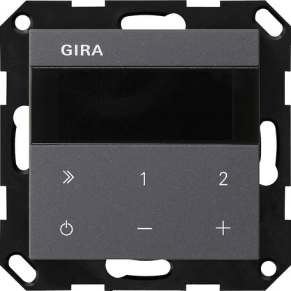 GIRA - GIR232028 RADIO IP IN