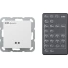 GIRA - GGI236603 Sensotec + Fernbedienung System 55 Reinw