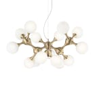 IDEAL LUX SRL - IUX241012 NODI SP15 OTTONE