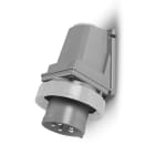 SCAME PARRE SPA - SCA245.32938 SPINA FISSA 2P+T IP66/IP67/IP69 32A 8H