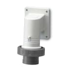 SCAME PARRE SPA - SCA247.16936 SPINA INC.90° 2P+T 16A IP67 7H