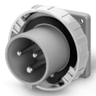 SCAME PARRE SPA - SCA248.32934 SPINA DA INCASSO 32A 2P+T 3H >50-250V CC