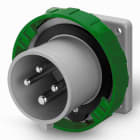 SCAME PARRE SPA - SCA248.32931 SPINA DA INCASSO 32A 2P+T 10H >50V