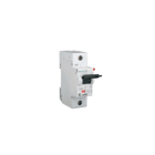 EATON - EAO248445 Z-BHASA/230 BOB.LAN.COR.110-415V X PLH+P