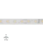 LINEA LIGHT (ILED) - ILDC0018WDI05019 PU_C+ BA 70LED/M 5M 24V R90 3000K