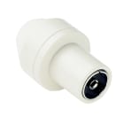 FRACARRO - FRA290351 SP1 SPINA