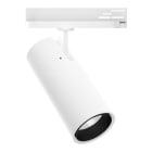 LINEA LIGHT (ILED) - ILD81637W60 POUND-3 16 1L 38WAC CRI92 BALANC.BG