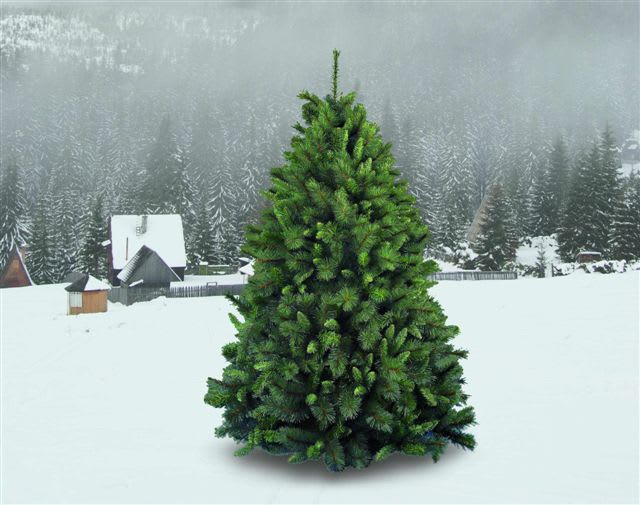 GIOCOPLAST NATALE SP - GCP29908485 ALBERO GERMOGLIATO CM.180 CON 1042 RAMI