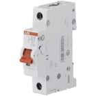 ABB SPA - ABBM990407 SD201/25 INTERRUTTORE-SEZIONATORE 1P 25